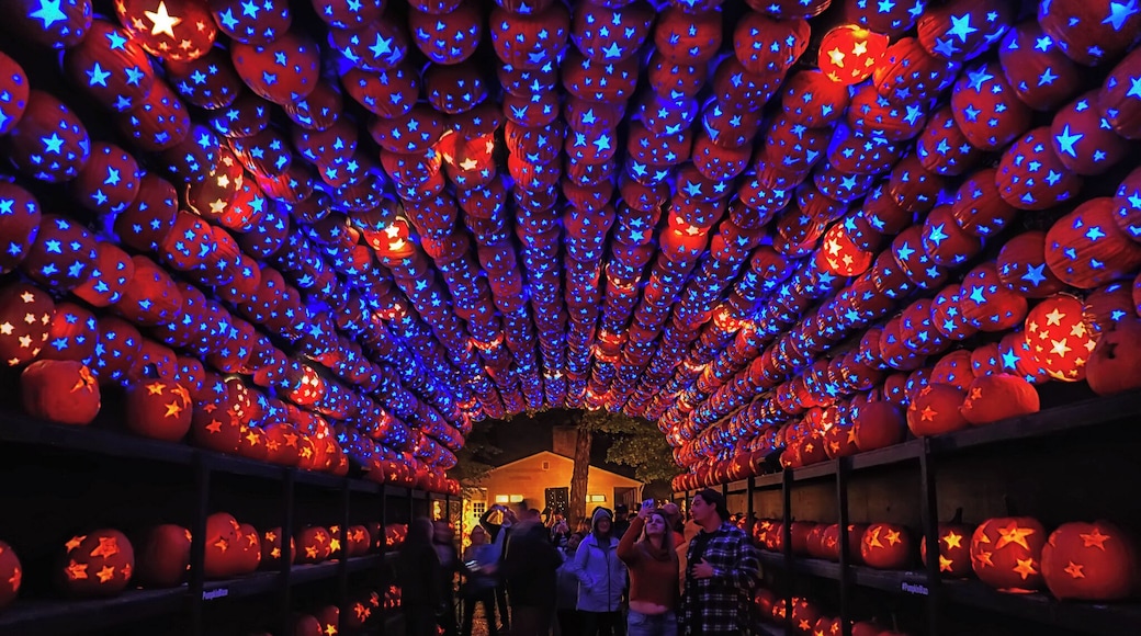 New York's biggest, most exciting, most electrifying Halloween event is located in the Sleepy Hollow area and features more than 5,000 individually hand-carved, illuminated jack o' lanterns in this elaborate walk-through experience. Meander through an historic, 18th-century riverside landscape and discover a breathtaking display - all made of jack o' lanterns!