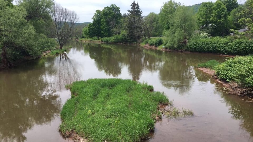A calm river with lush greenery and trees along the banks.