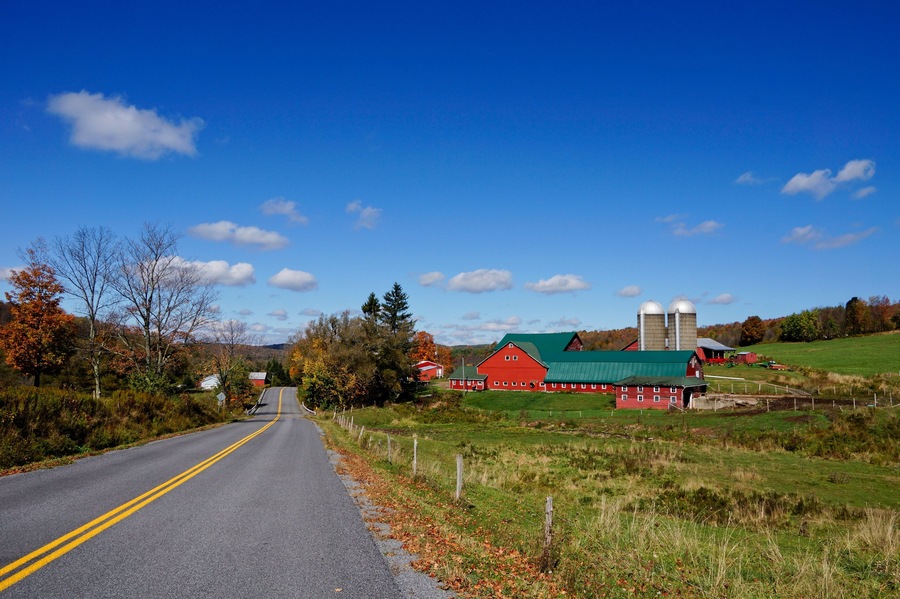 Farm in Delaware County NY