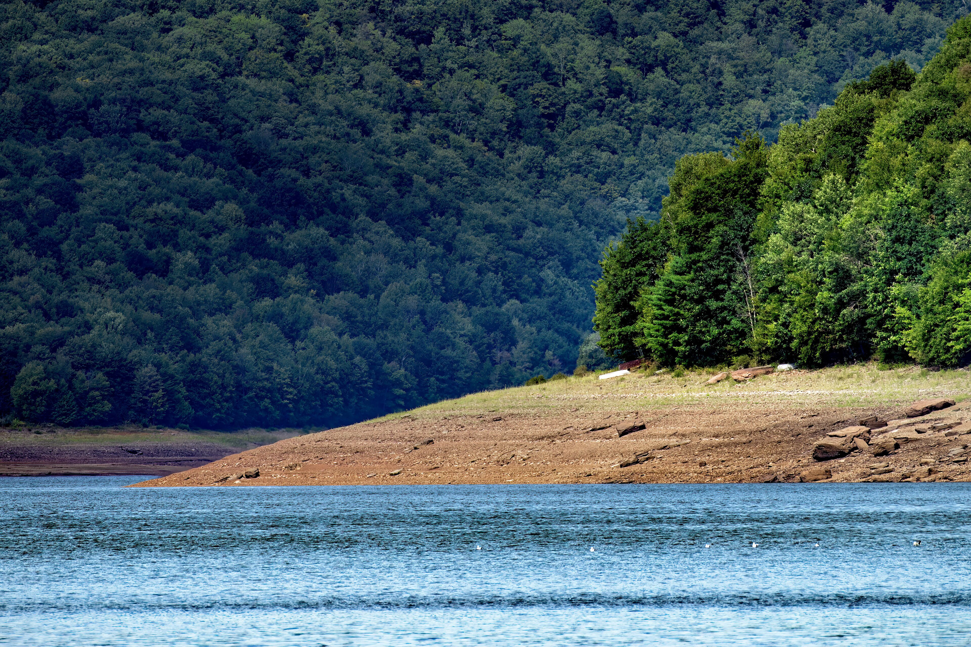 A long severe drought in Upstate NY has left the Cannonsvile Reservoir with very low water levels.  Drought has exposed more of the shoreline this year.  