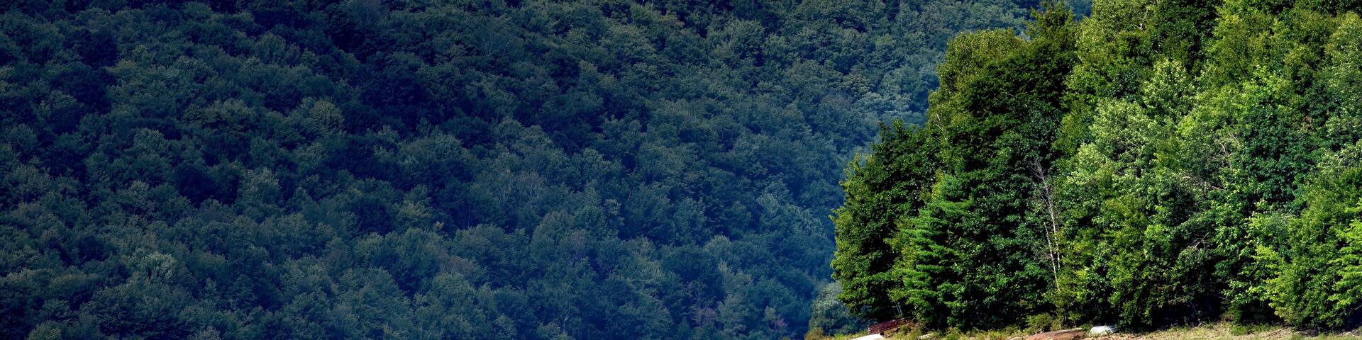 A long severe drought in Upstate NY has left the Cannonsvile Reservoir with very low water levels. Drought has exposed more of the shoreline this year.