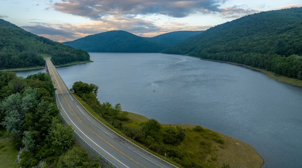 Late afternoon summer aerial photo of the bridge over the Cannonsville Reservoir, Trout Creek, Route 10.