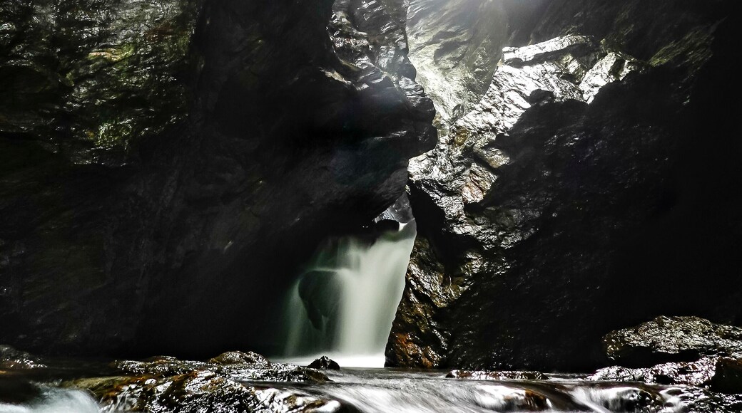 دوفر بلاينز