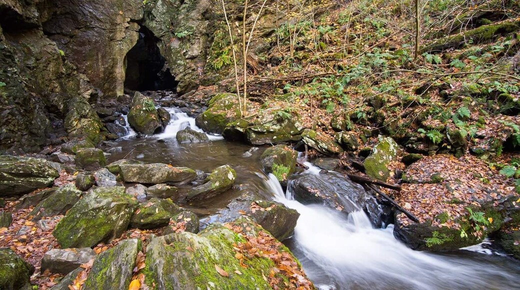 Short little trail to a cave with waterfall inside. Try to go fall or spring as super busy during summer.