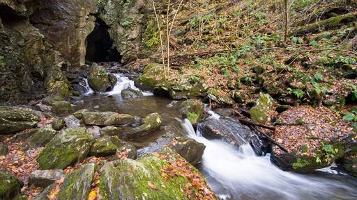 Short little trail to a cave with waterfall inside. Try to go fall or spring as super busy during summer.