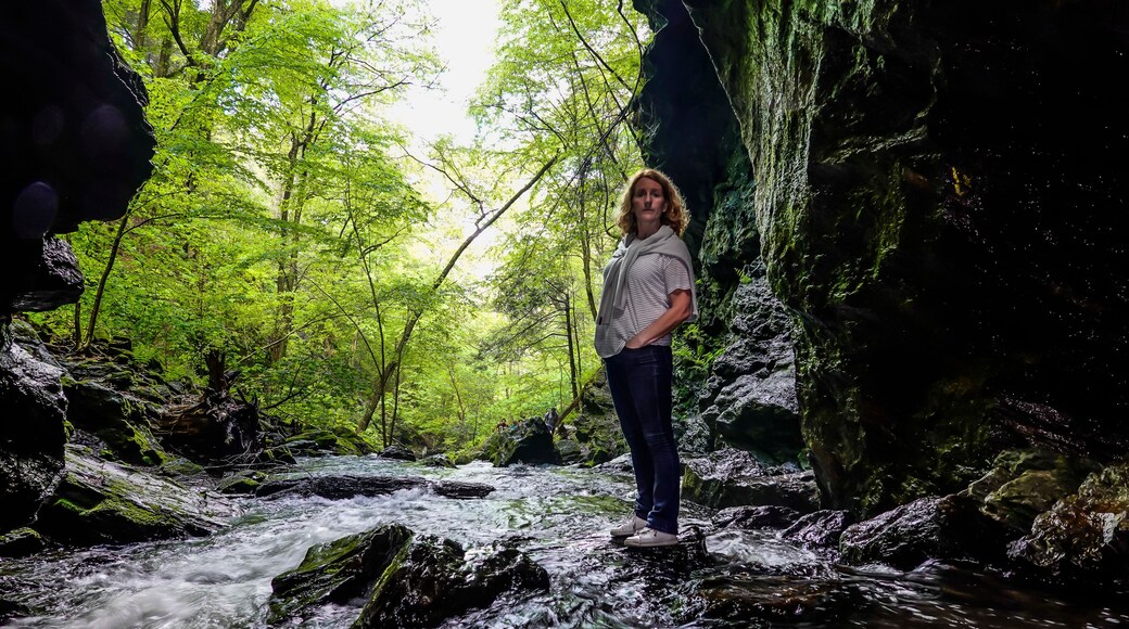 دوفر بلاينز