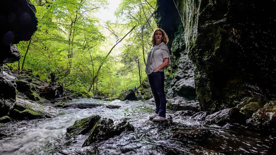 A person standing on rocks by a flowing stream in a forested area.
