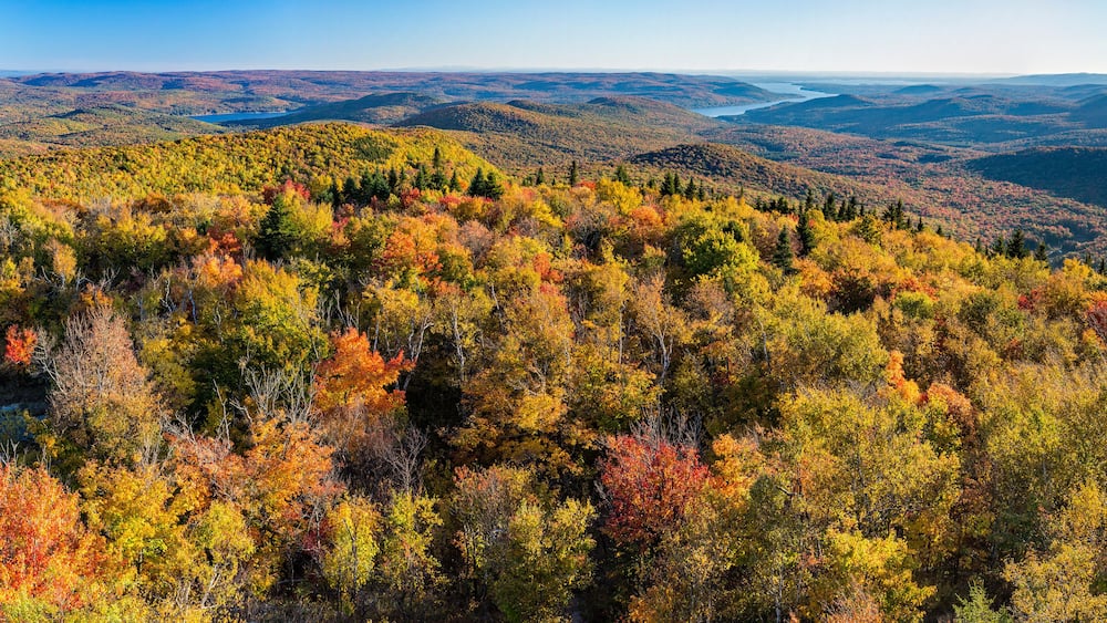 South Panoramic View from Hadley Mountain Fire Tower