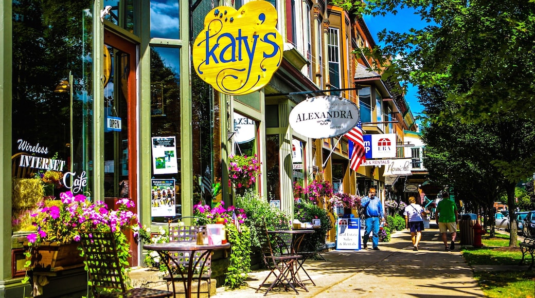 Ellicottville showing street scenes