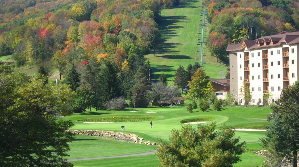 Ellicottville which includes golf and a luxury hotel or resort