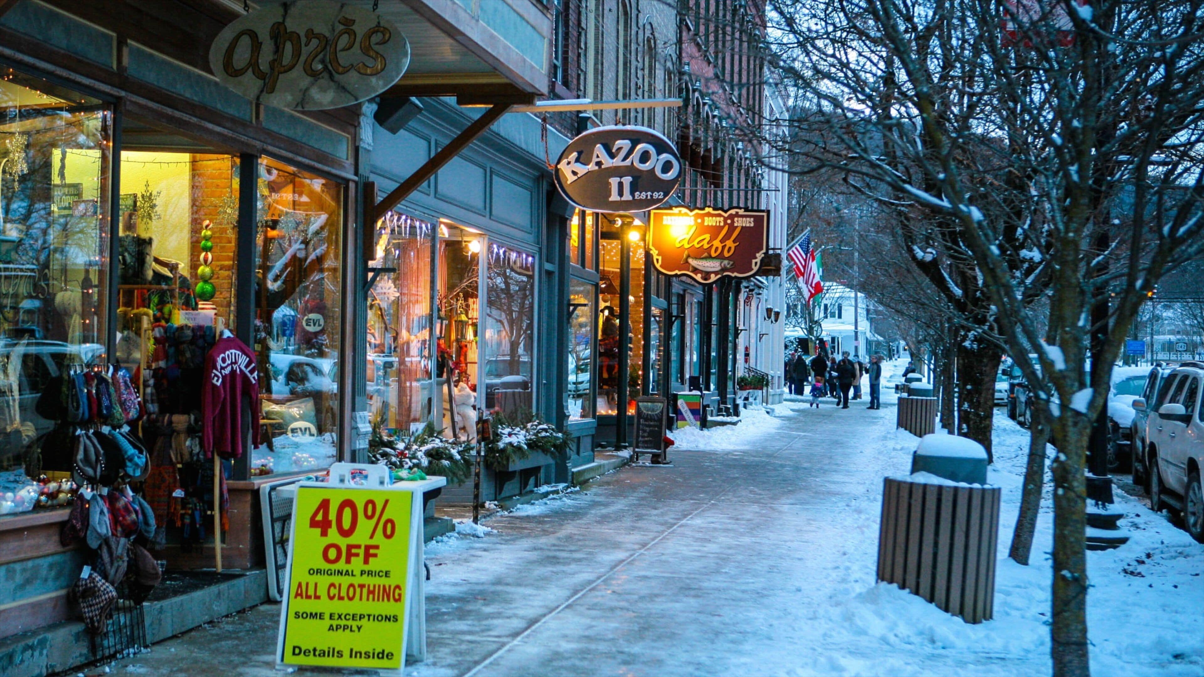 Ellicottville showing street scenes, night scenes and signage