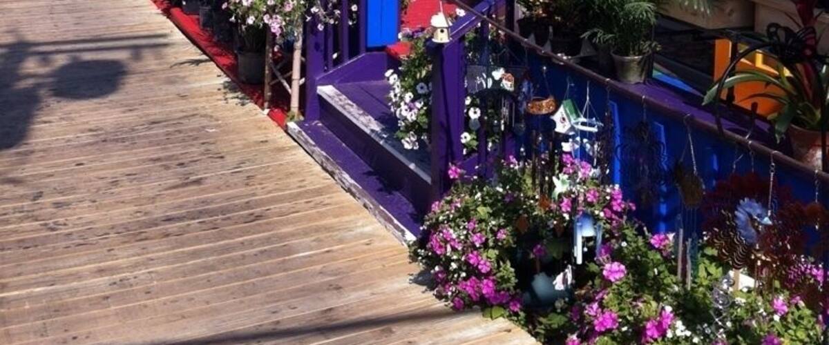 Downtown cherry grove