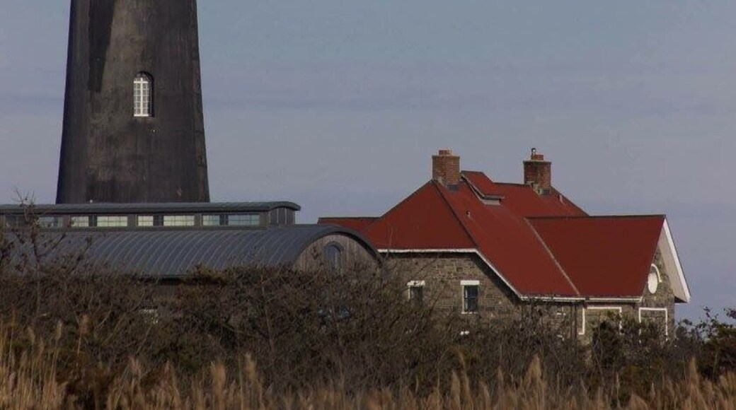 Great photo op...climb to the top!
