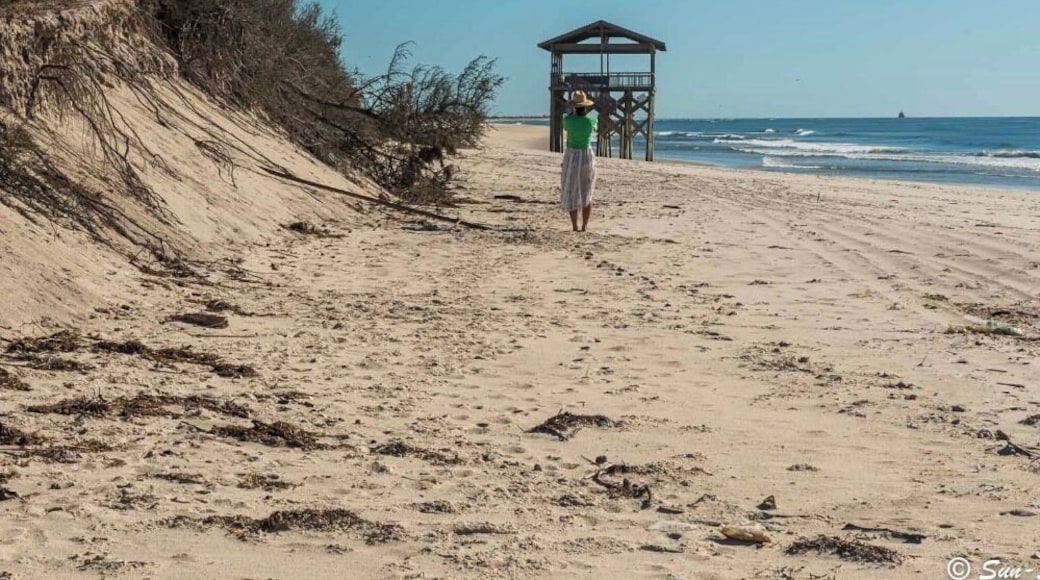 Fire Island is a barrier island stretching across the south shore of Long Island,NewYork. There are many small beaches along this parcel of land. Ho Hum beach is pristine with no houses and miles of wilderness in both directions, inviting all to take a walk and explore this treasure. It is owned by the Village of Bellport and can only be access via boat. There is a ferry that runs for residents and their guests for a fee. #trovember