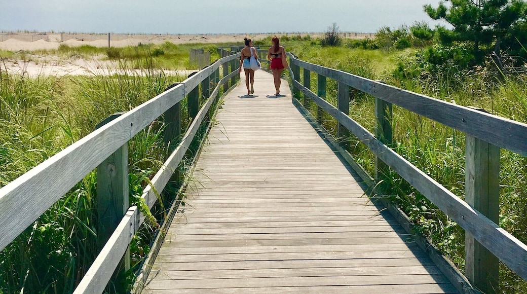 Summer is almost over, but we have great memories for life.