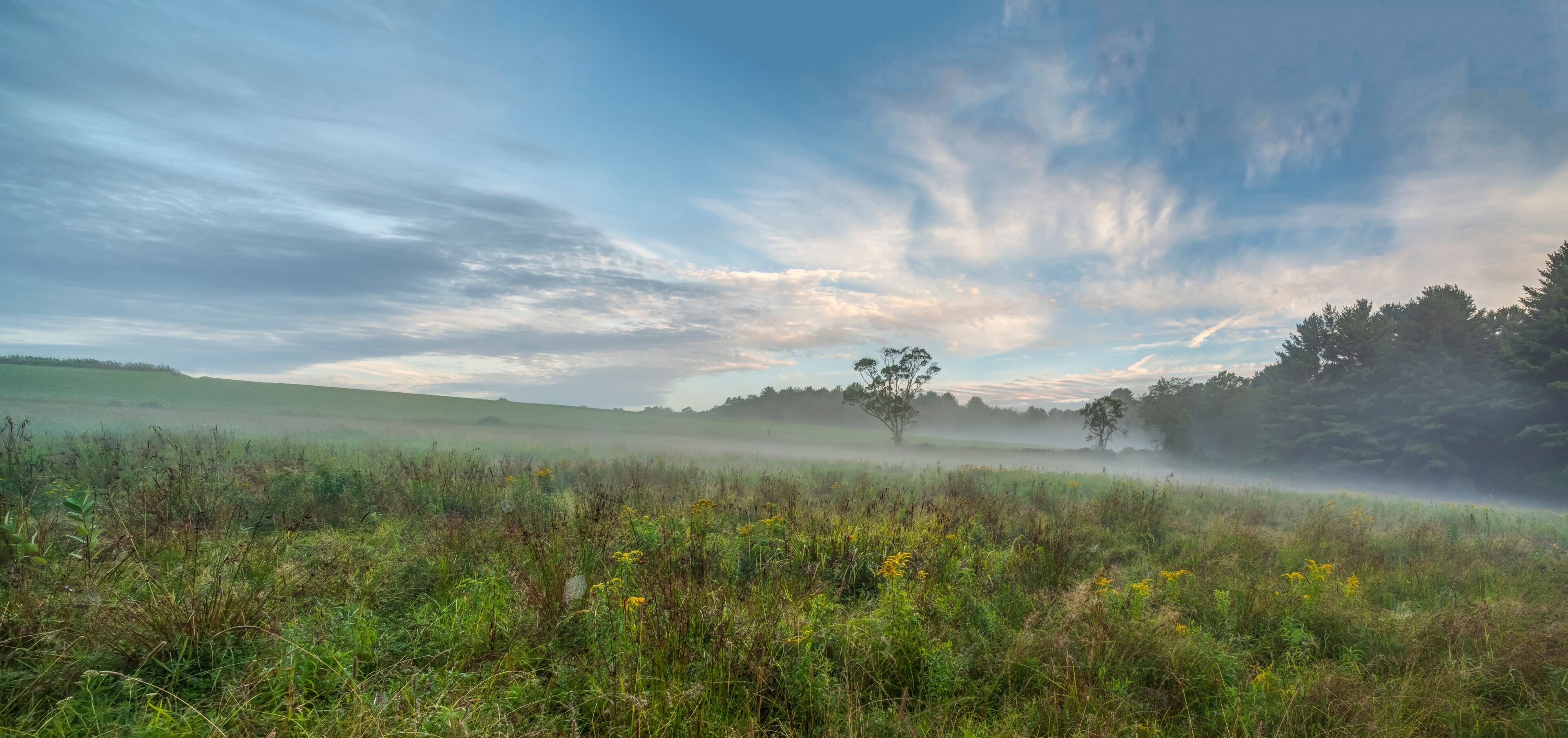 Upstate New York in Sullivan county in summer with fog on the meadow