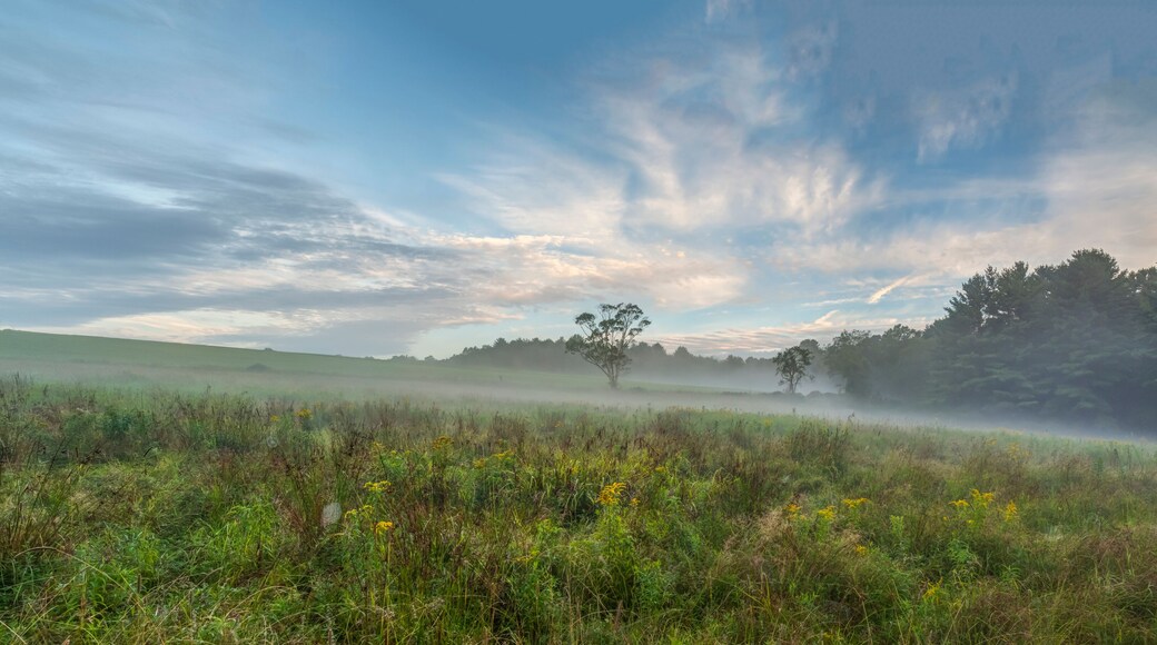 Upstate New York in Sullivan county in summer with fog on the meadow