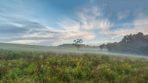 Upstate New York in Sullivan county in summer with fog on the meadow
