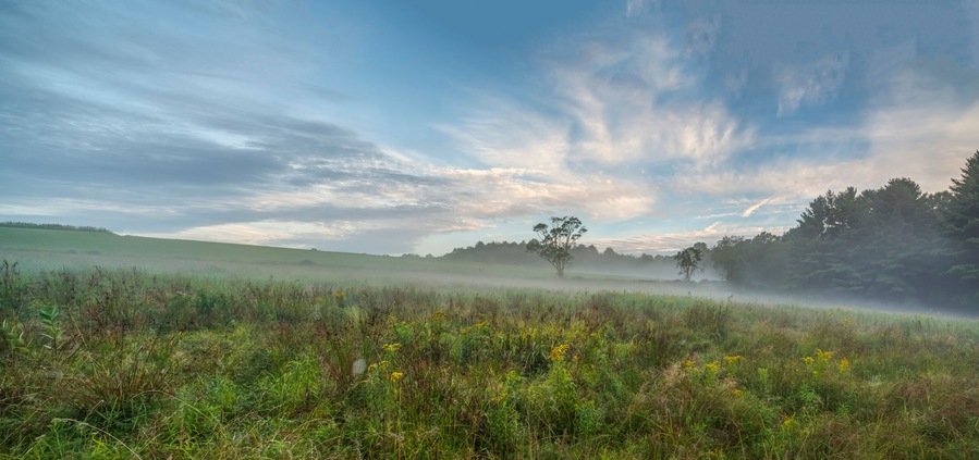 Upstate New York in Sullivan county in summer with fog on the meadow