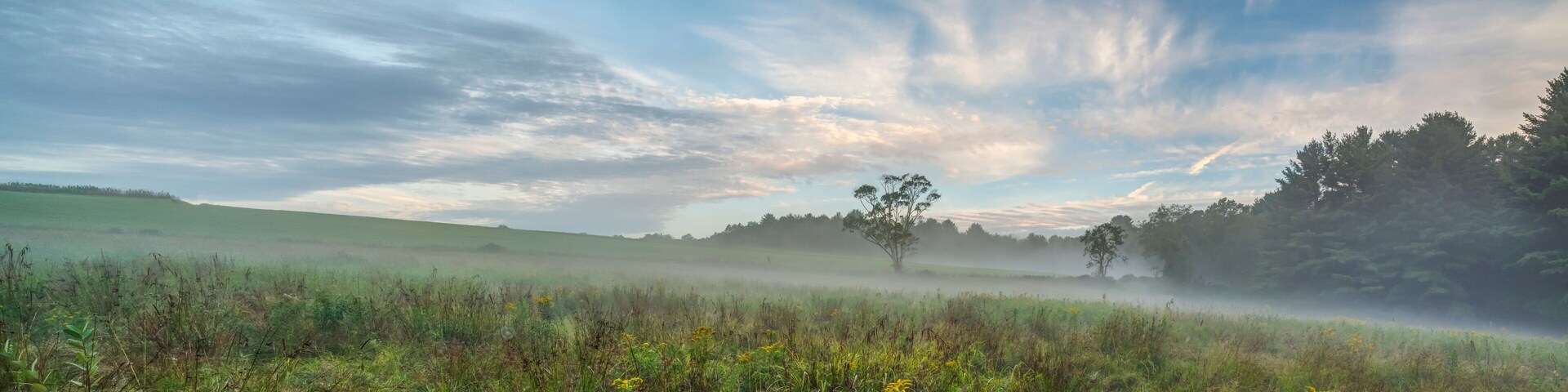 Upstate New York in Sullivan county in summer with fog on the meadow