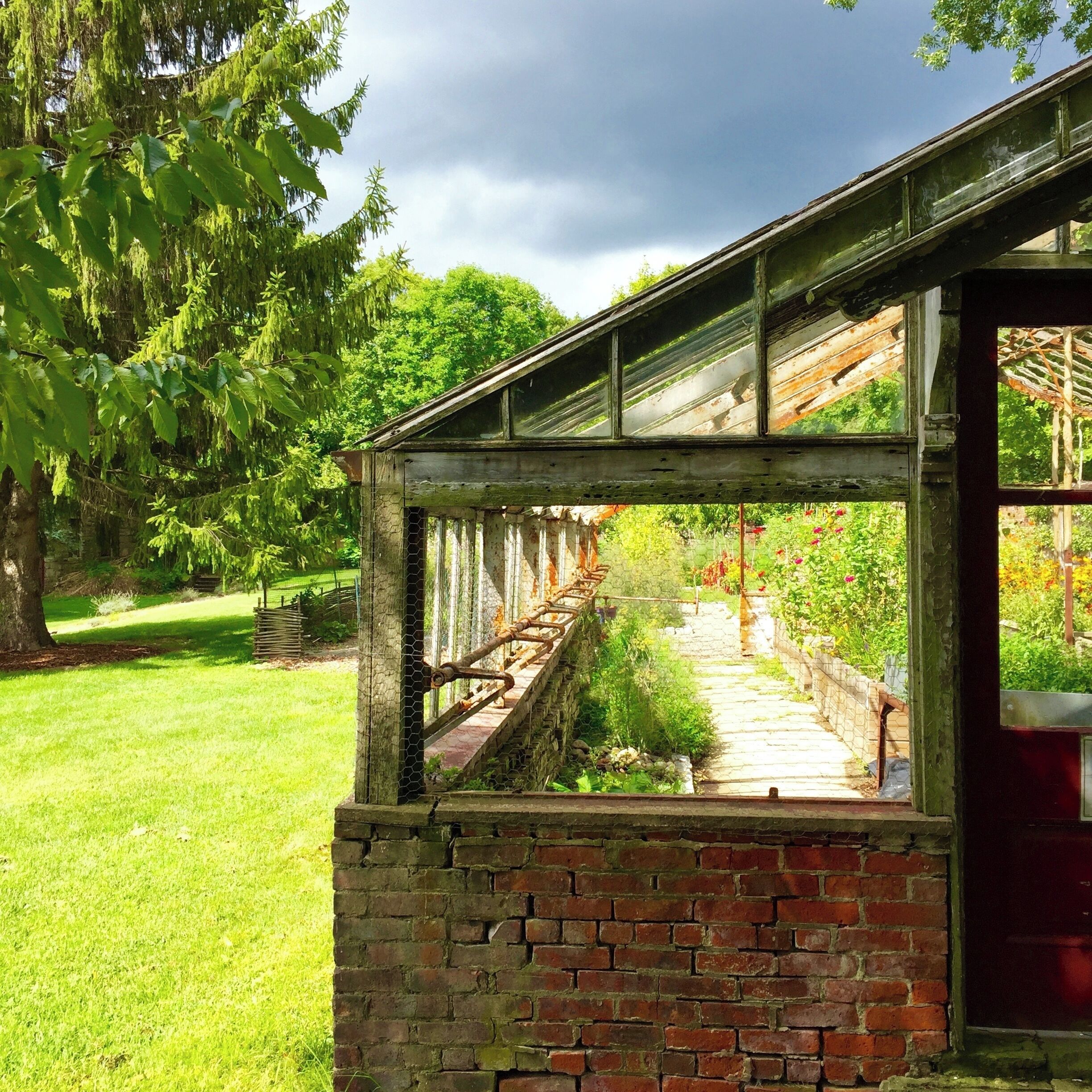 Beautiful grounds   #Patterns