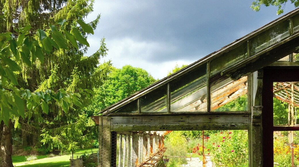 Beautiful grounds #Patterns