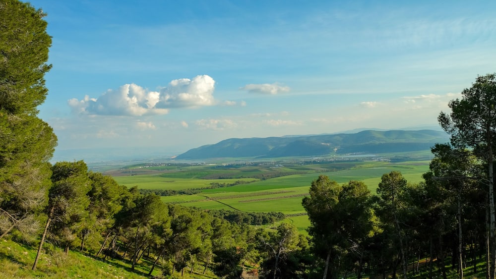 Une vallée verdoyante et luxuriante, parsemée de collines douces et d’arbres isolés.