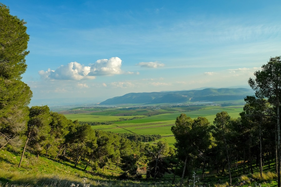 A lush green valley with rolling hills and scattered trees.