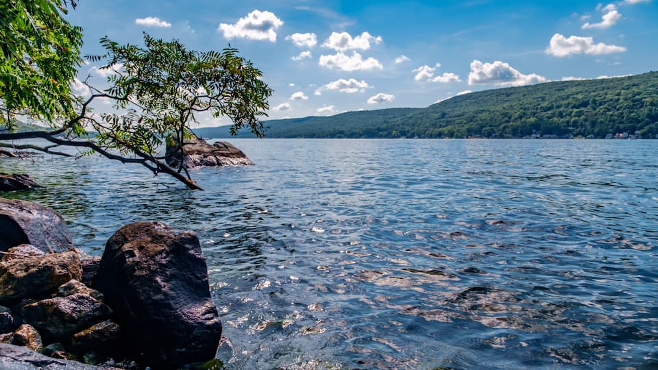 A lake with rocky shores, a tree branch overhanging the water, and a distant hill with dense greenery.