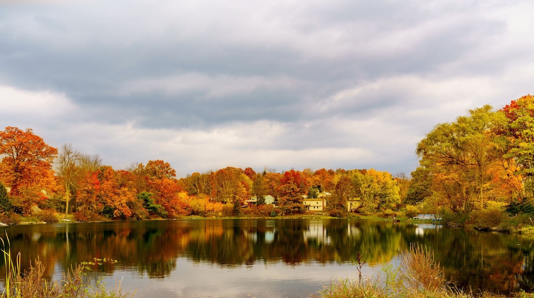 Greenwood lake upper area