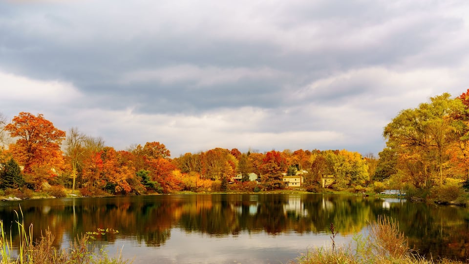 A calm lake surrounded by autumn-colored trees and houses in the background.