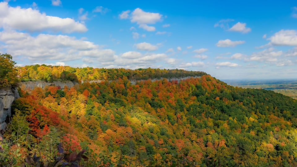 A forested mountain with autumn foliage and a clear sky.