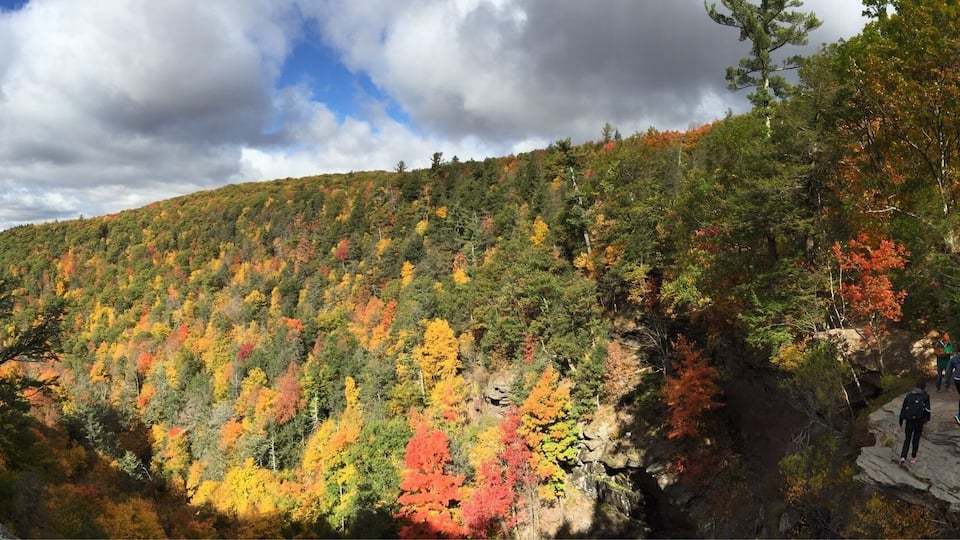 A forested hillside with autumn foliage, rocky outcrops, and hikers.