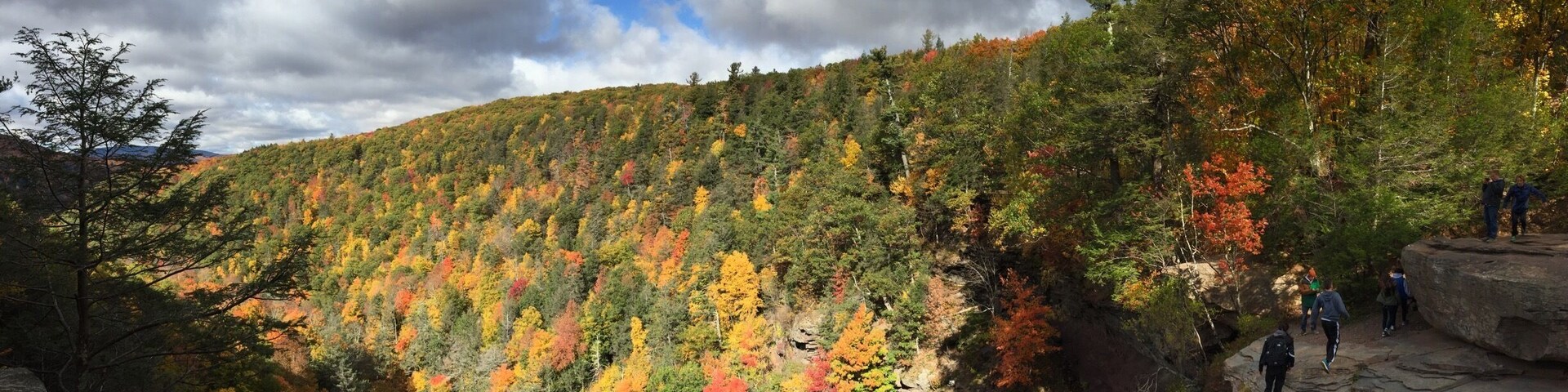 Love the view from
The top .. The fall colors are at full swing !