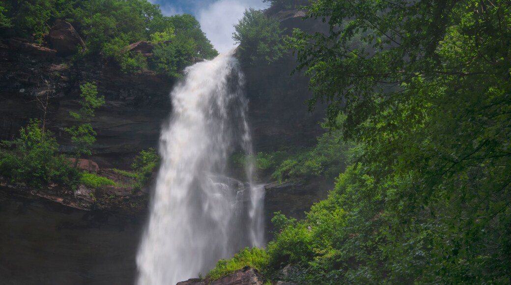 ํ์ธ์ฆ ํด์ค