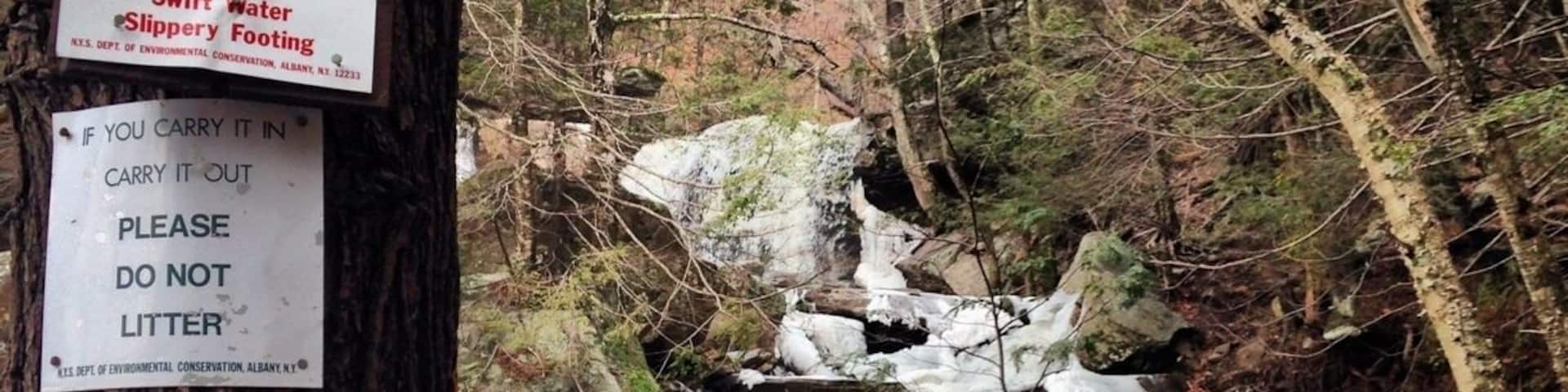 Trail that leads up Haines falls