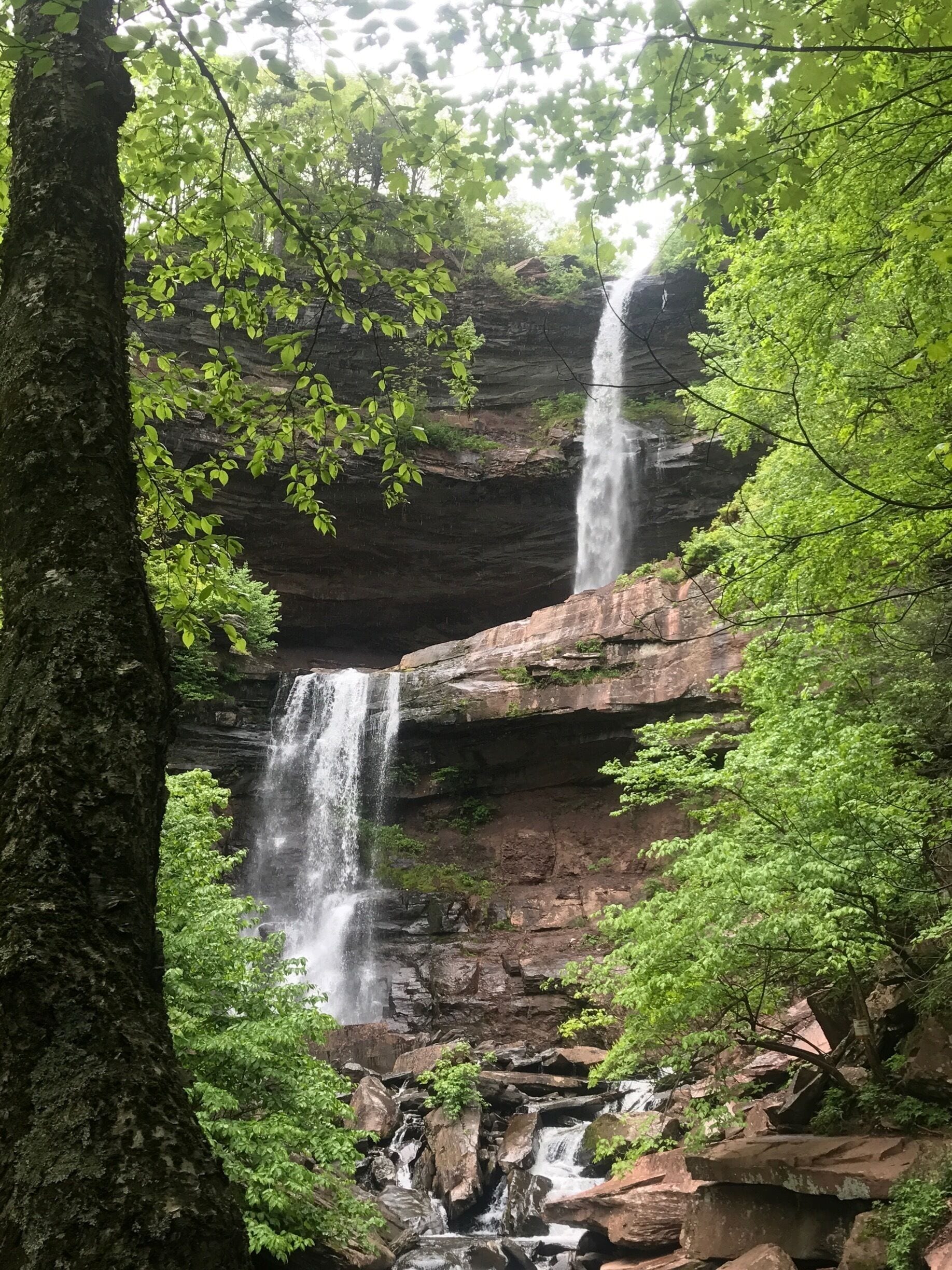 A waterfall cascading down a rocky cliff surrounded by lush green foliage.