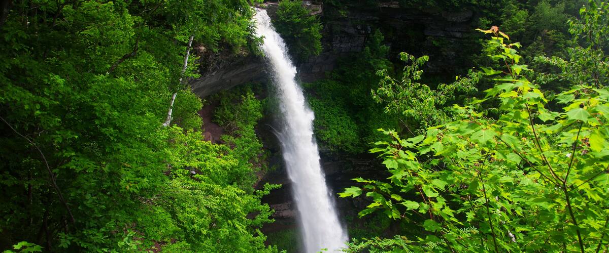 A waterfall surrounded by lush green foliage.