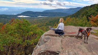A person sitting on a rock overlooking a mountainous landscape with a lake and autumn foliage.