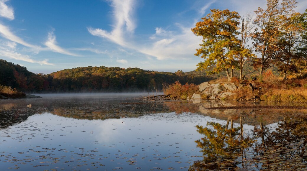 Harriman State Park in autumn panoramic