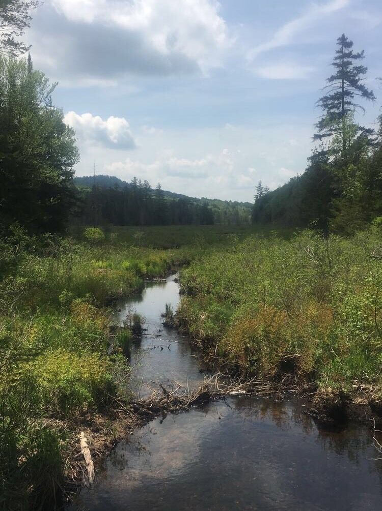 taken on the way to Cascade Lake, just as you cross a wooden bridge
