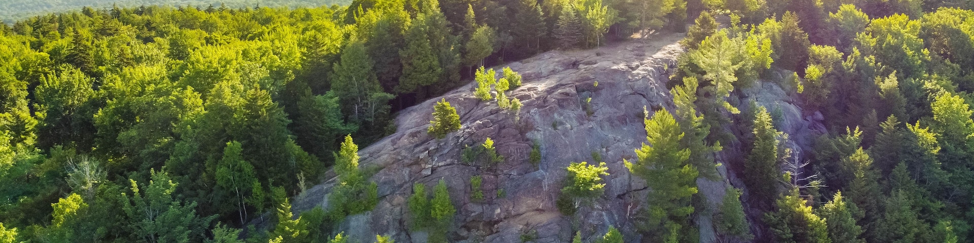 Un paisaje montañoso con bosques densos y un afloramiento rocoso.