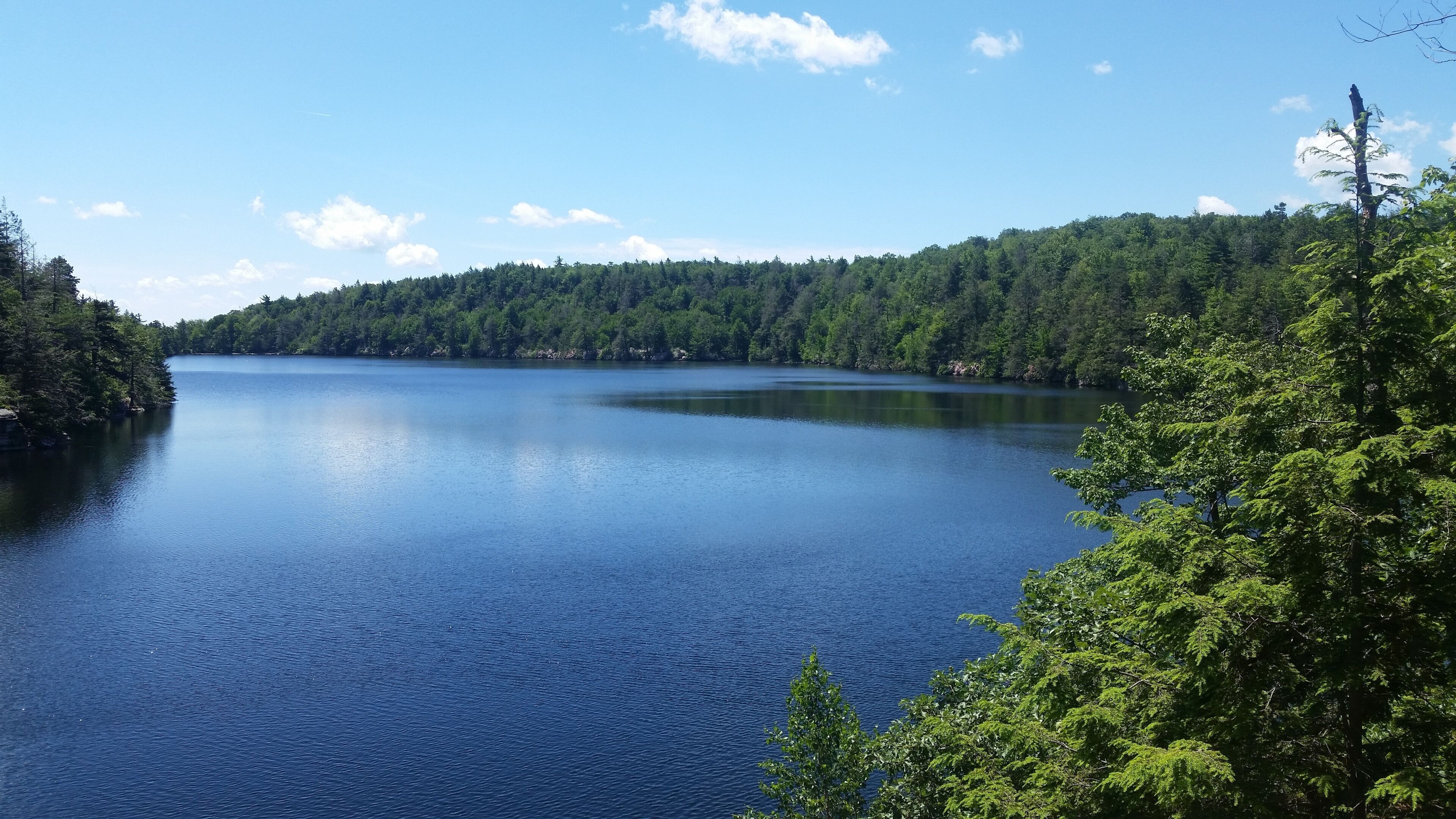 A calm lake surrounded by dense forest.