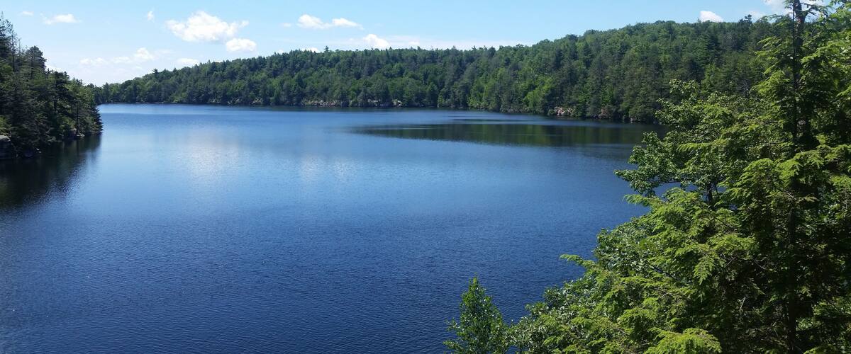 A calm lake surrounded by dense forest.
