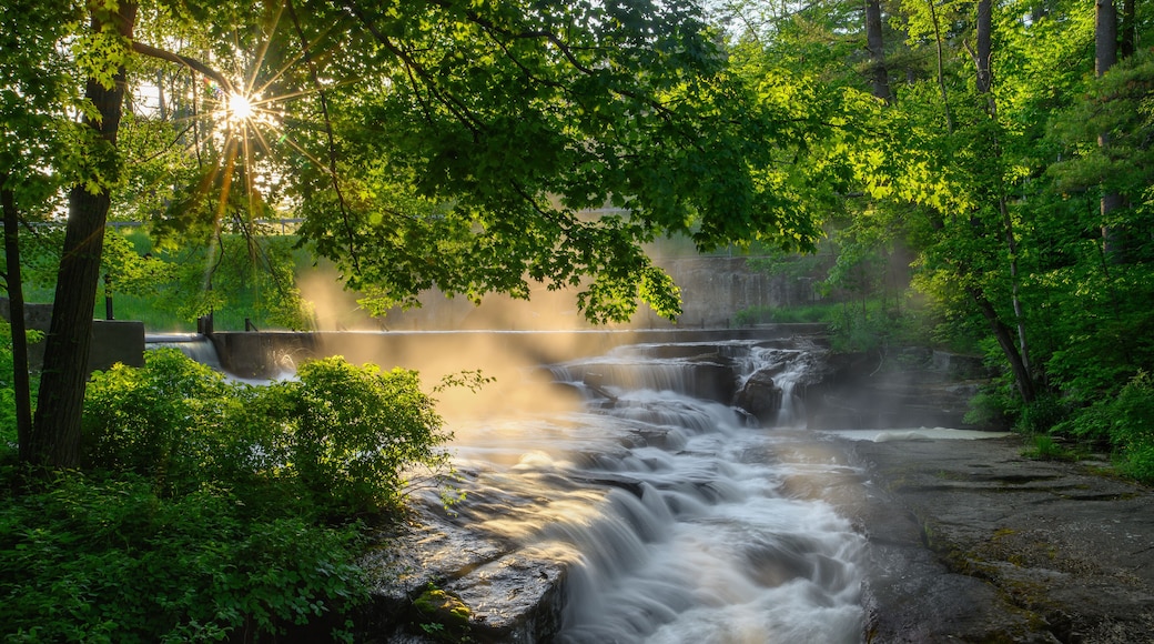 Sunlight at Mill Park
