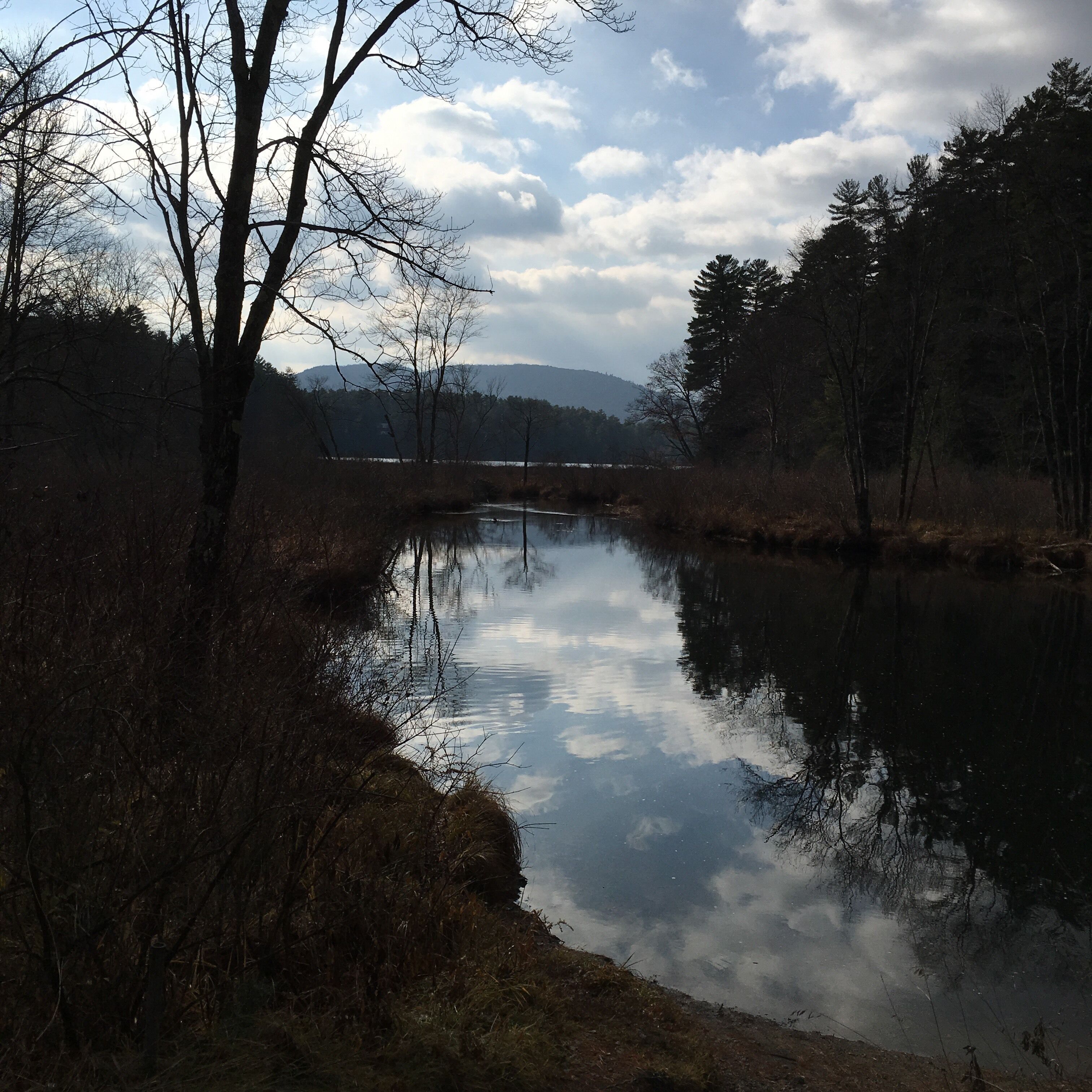 A calm river reflecting trees and a cloudy sky.