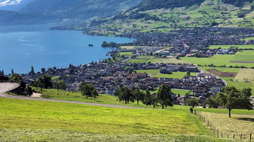 Vierwaldstätter See