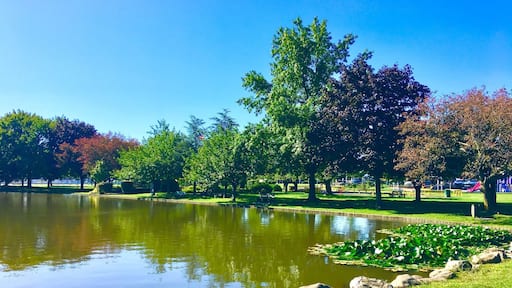 Beautiful place. 👍