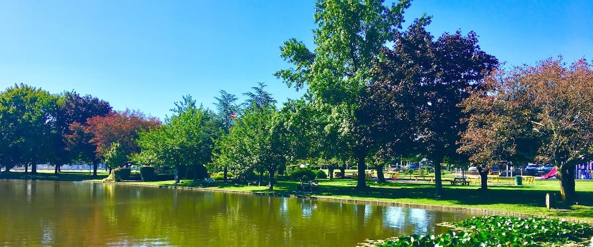 A park with a pond, green grass, rocks, and trees.