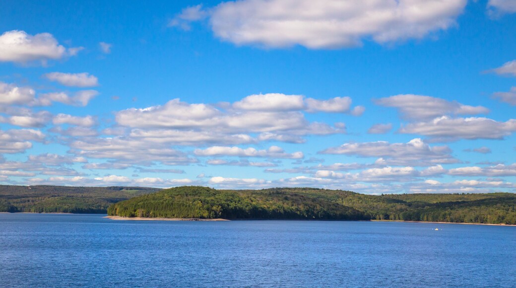 Neversink Resevior New York City water supply, upstate NY